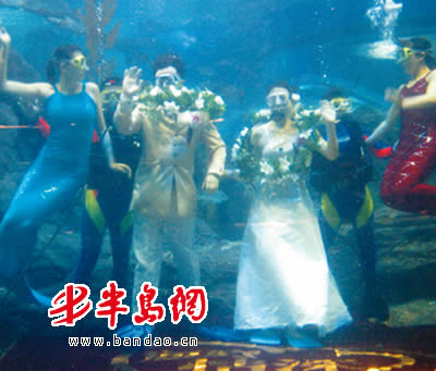 鲨鱼作证新人海底拜堂 山东省首例 海底婚礼 昨