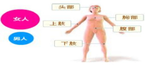 女性健康