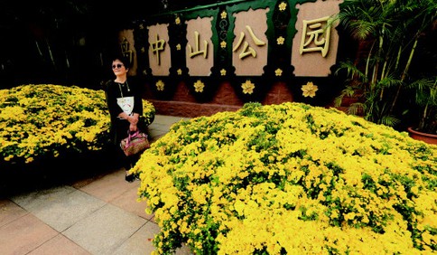 中山公园菊展本周末将开幕 吸引大量游客围观