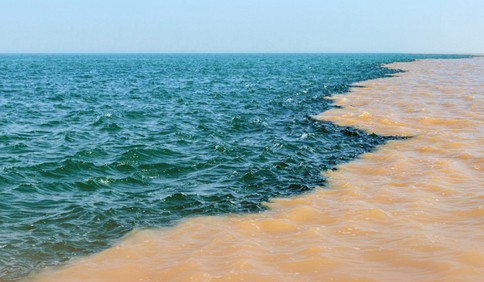 中国红•齐鲁行 | 走进美丽的黄河入海口