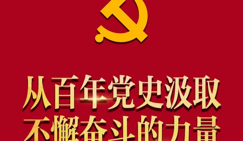 从百年党史汲取不懈奋斗的力量——与会同志谈党的十九届六中全会精神