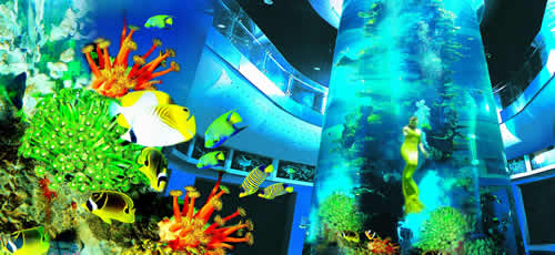 �ൺ��������