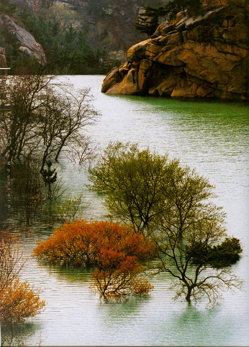 ��ɽ����